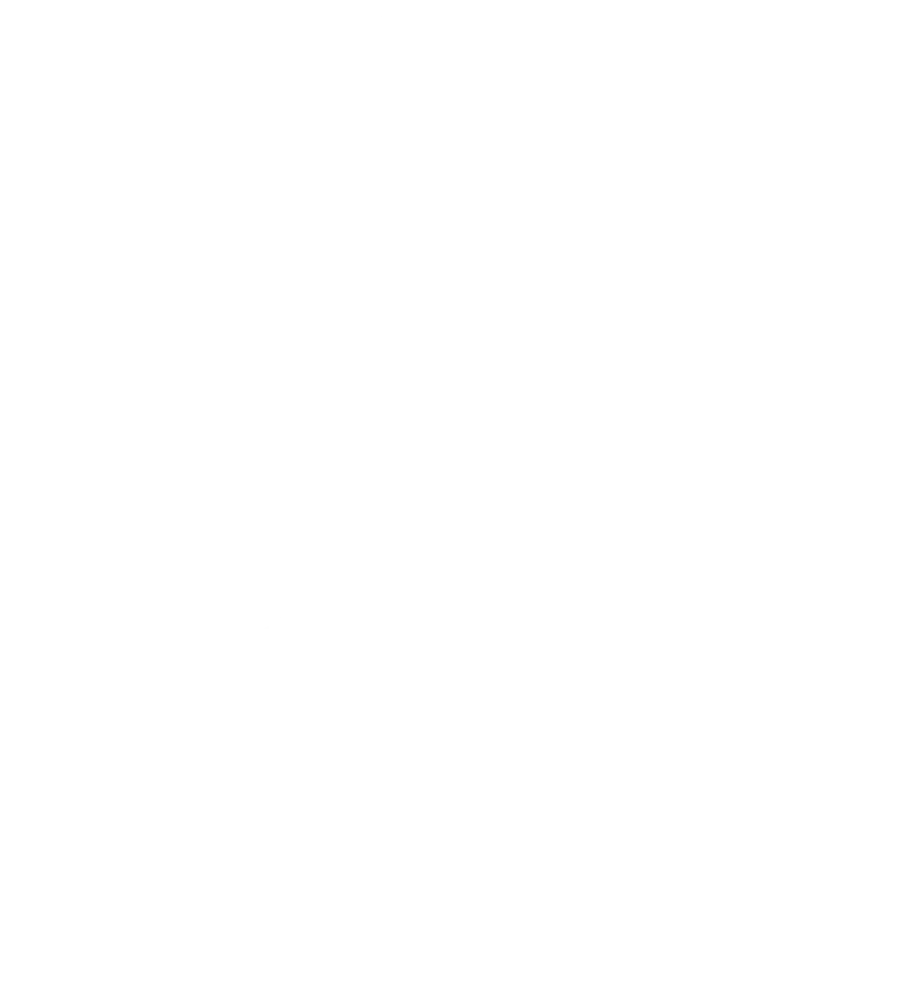 Handicap Fahrzeuge GmbH - Symbol