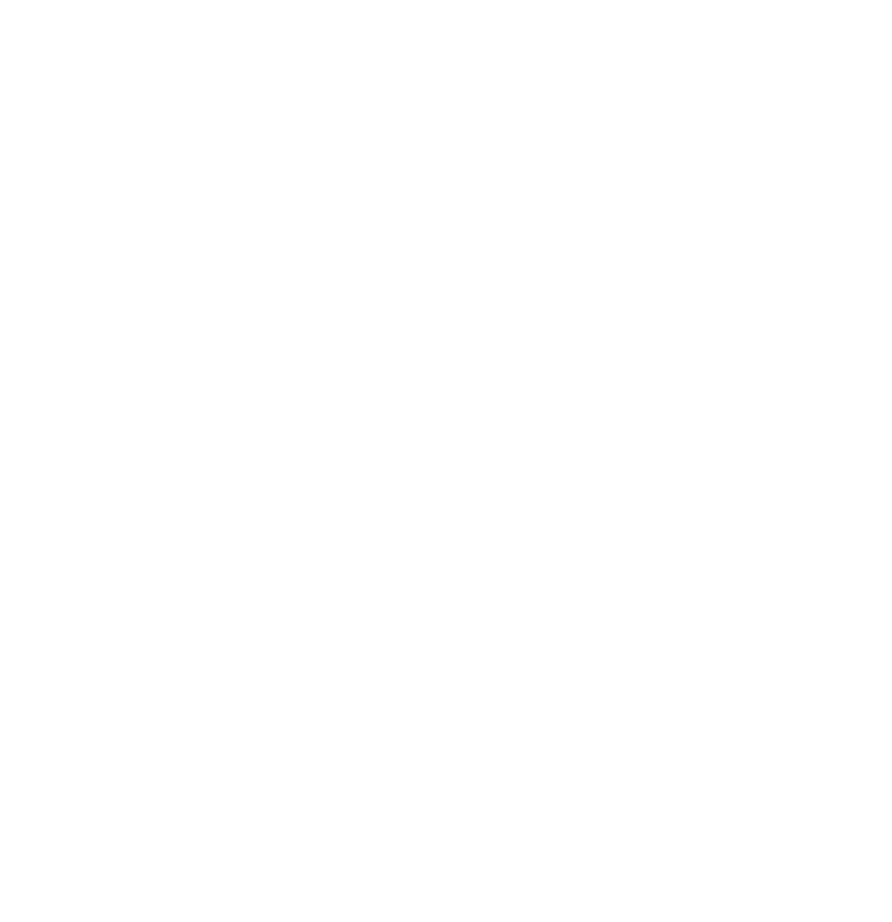 Handicap Fahrzeuge GmbH - Symbol